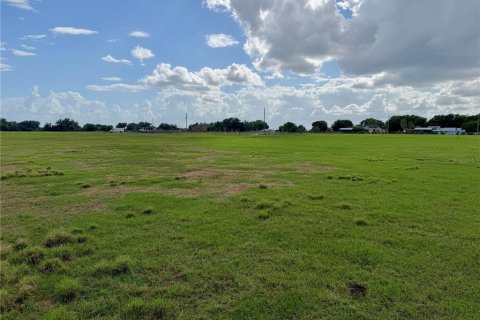 Land in Wauchula, Florida № 2239804 - photo 5