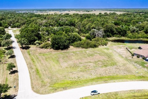 Land in Parrish, Florida № 2112334