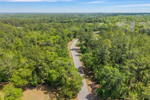Terreno en venta en Ocala, Florida № 2128741 - foto 17