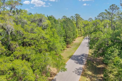 Terreno en venta en Ocala, Florida № 2128741 - foto 10