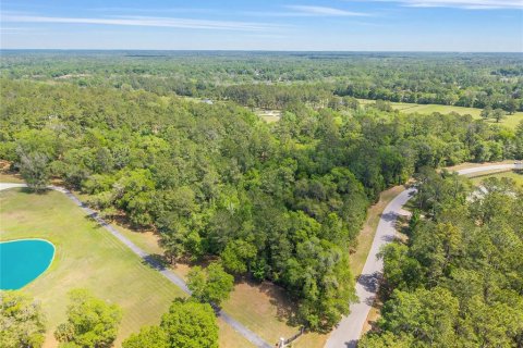 Terreno en venta en Ocala, Florida № 2128741 - foto 9