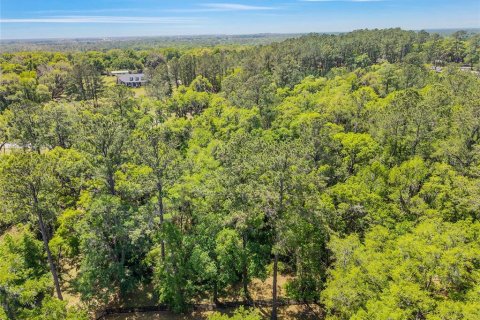 Terreno en venta en Ocala, Florida № 2128741 - foto 20