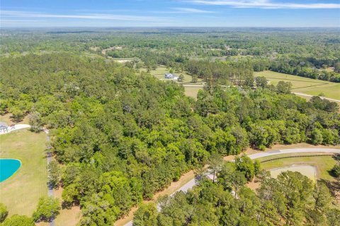 Terreno en venta en Ocala, Florida № 2128741 - foto 24