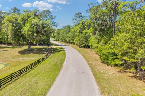 Terreno en venta en Ocala, Florida № 2128741 - foto 13