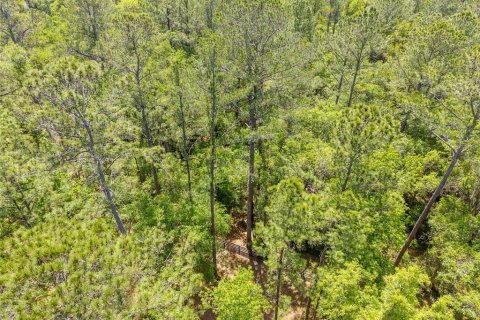 Terreno en venta en Ocala, Florida № 2128741 - foto 21