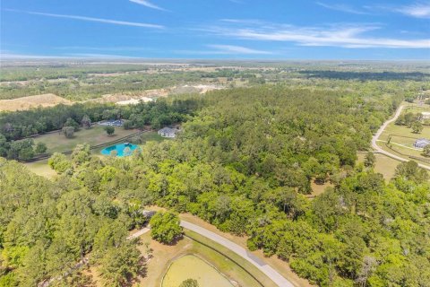 Terreno en venta en Ocala, Florida № 2128741 - foto 14