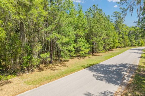 Terreno en venta en Ocala, Florida № 2128741 - foto 11