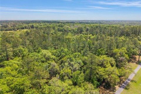 Terreno en venta en Ocala, Florida № 2128741 - foto 22