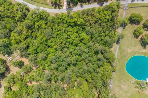 Terreno en venta en Ocala, Florida № 2128741 - foto 23
