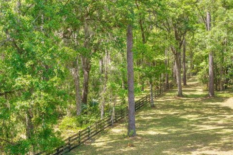 Terreno en venta en Ocala, Florida № 2128741 - foto 19