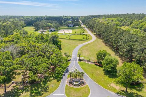 Terreno en venta en Ocala, Florida № 2128741 - foto 3