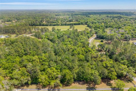 Terreno en venta en Ocala, Florida № 2128741 - foto 16