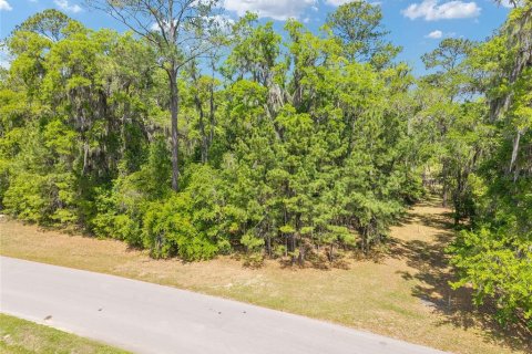 Terreno en venta en Ocala, Florida № 2128741 - foto 12