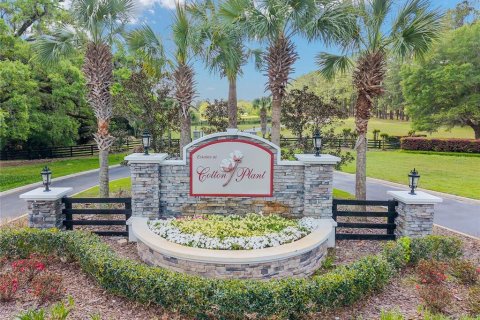 Terreno en venta en Ocala, Florida № 2128741 - foto 2