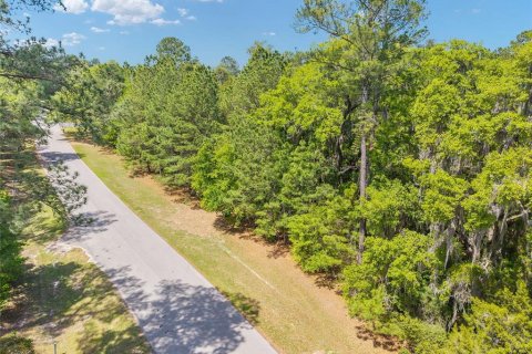 Terreno en venta en Ocala, Florida № 2128741 - foto 6