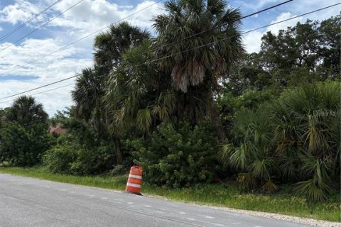 Land in Port Charlotte, Florida № 2279782