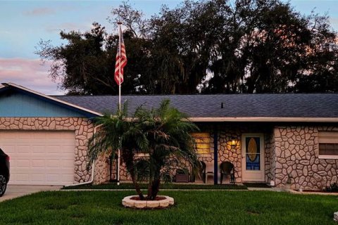 Casa en Valrico, Florida 3 dormitorios, 136.57 m2 № 2379796