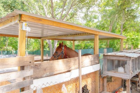 Villa ou maison à vendre à Lutz, Floride: 3 chambres, 111.11 m2 № 2092930 - photo 19