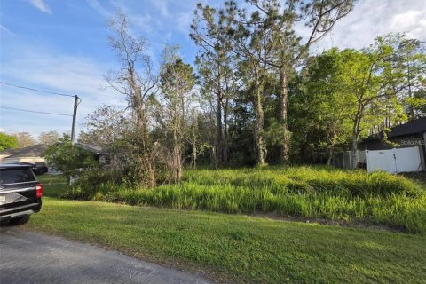 Land in Kissimmee, Florida № 2161598 - photo 3