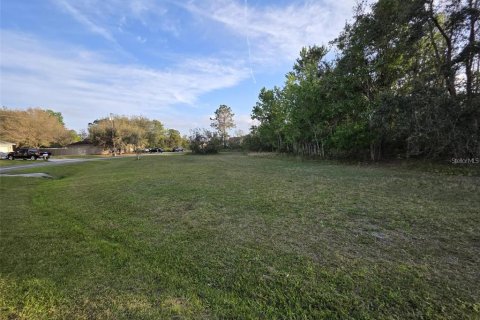 Land in Kissimmee, Florida № 2161598