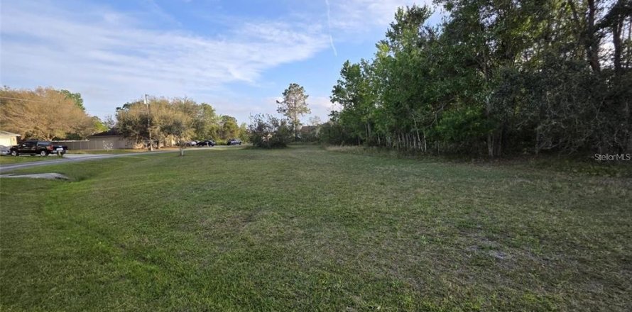 Land in Kissimmee, Florida № 2161598