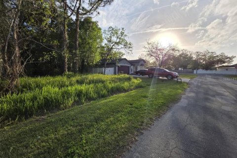 Land in Kissimmee, Florida № 2161598 - photo 2