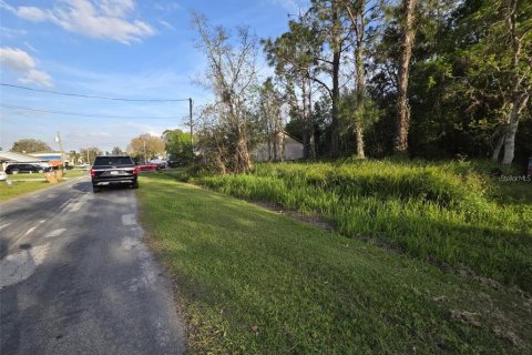 Land in Kissimmee, Florida № 2161598 - photo 4