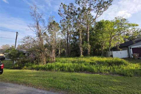 Land in Kissimmee, Florida № 2161598 - photo 6