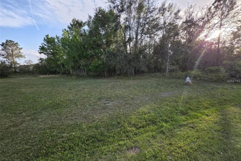 Land in Kissimmee, Florida № 2161598 - photo 7