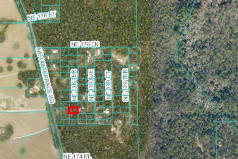 Land in Fort MC Coy, Florida № 2163065 - photo 2