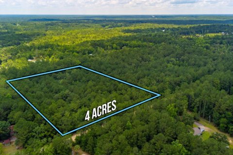 Terreno en venta en De Funiak Springs, Florida № 589966 - foto 1
