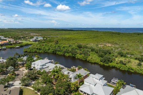 House in Apollo Beach, Florida 6 bedrooms, 412.3 sq.m. № 1347352 - photo 11