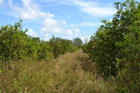 Terreno en venta en Lake Wales, Florida № 1575028 - foto 3
