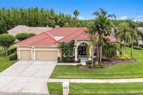 House in Lutz, Florida 4 bedrooms, 311.87 sq.m. № 1677772 - photo 1