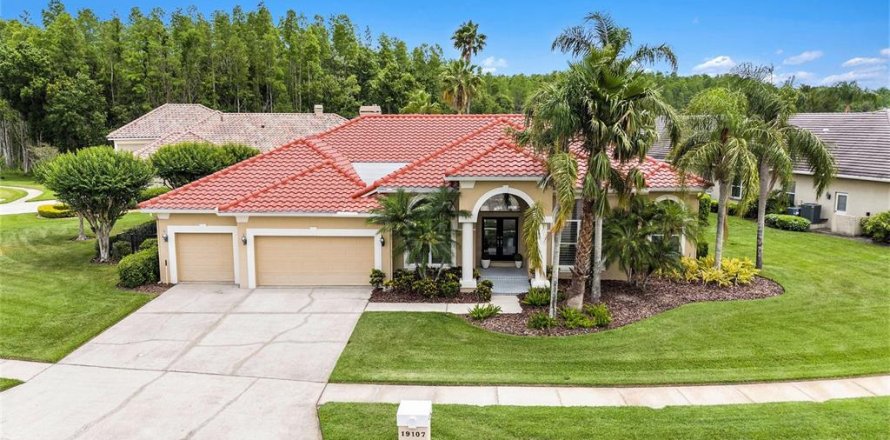 House in Lutz, Florida 4 bedrooms, 311.87 sq.m. № 1677772