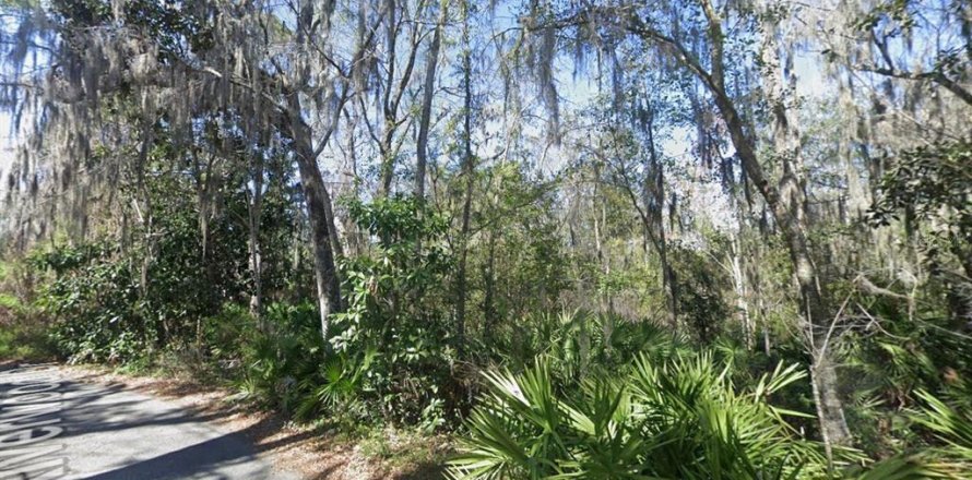 Land in Fleming Island, Florida № 2109644