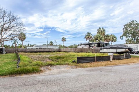 Land in New Port Richey, Florida № 2160776 - photo 6