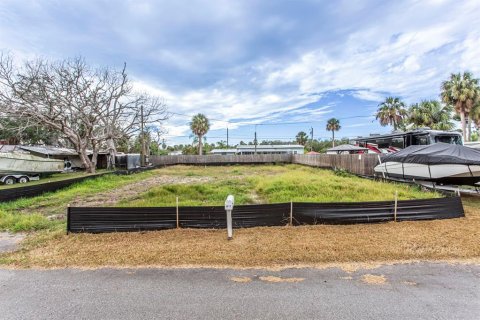 Land in New Port Richey, Florida № 2160776 - photo 8