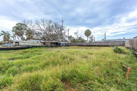 Land in New Port Richey, Florida № 2160776 - photo 4