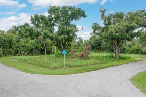 Land in North Fort Myers, Florida № 1520365 - photo 1