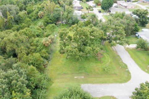 Land in North Fort Myers, Florida № 1520365 - photo 8