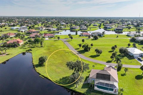 Land in Punta Gorda, Florida № 1908050 - photo 7