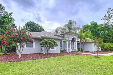 House in Wesley Chapel, Florida 5 bedrooms, 390.19 sq.m. № 1777554 - photo 13