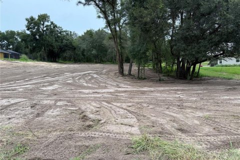Terreno en venta en Fruitland Park, Florida № 1917023 - foto 3