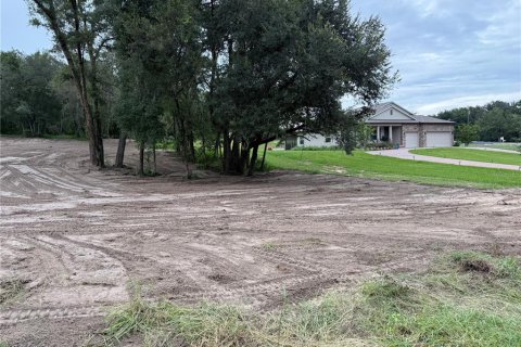Terreno en venta en Fruitland Park, Florida № 1917023 - foto 5