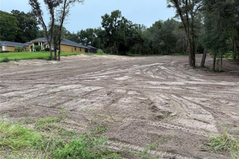 Terreno en venta en Fruitland Park, Florida № 1917023 - foto 8