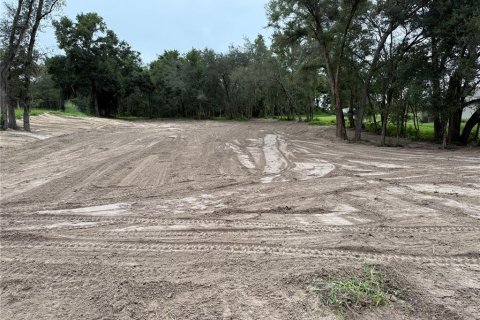 Terreno en venta en Fruitland Park, Florida № 1917023 - foto 6