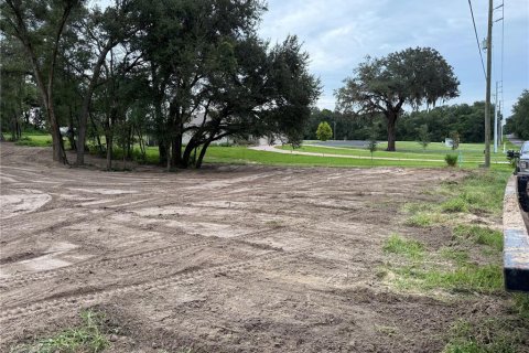 Terreno en venta en Fruitland Park, Florida № 1917023 - foto 4