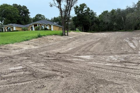 Terreno en venta en Fruitland Park, Florida № 1917023 - foto 7