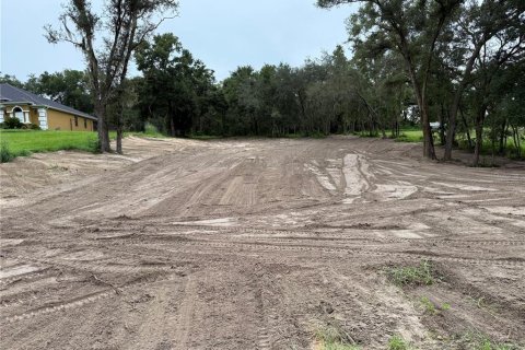 Terreno en venta en Fruitland Park, Florida № 1917023 - foto 2